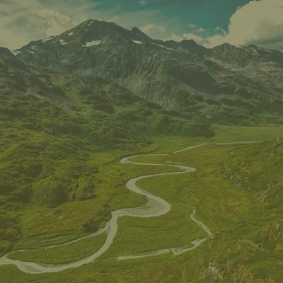 Shop Brands Born in Alaska