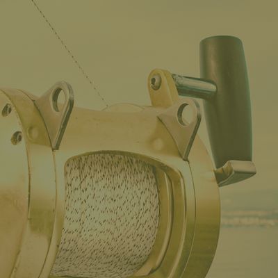 Shop Line, Braid &amp; Leaders