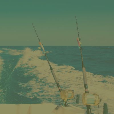 Saltwater Fishing