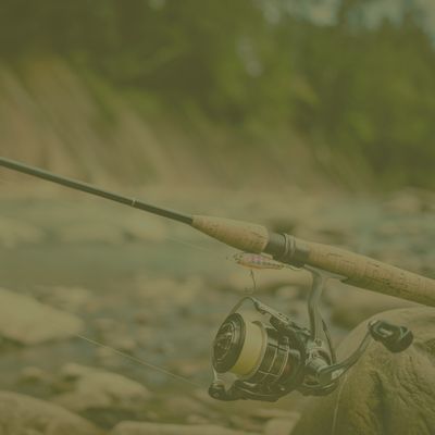 Shop Rods &amp; Reels