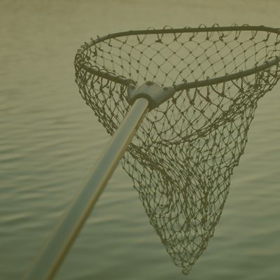 Shop Nets