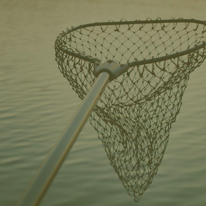 alaska long handle fish dip-net Beoccudo Extra Large Fishing Landing Net The EGO WADE nets series is extremely durable Alaska Salmon Fishing Alaska Big