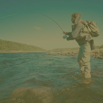 Shop by Fishing Style
