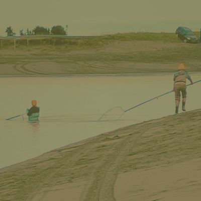 Shop Dip Nets