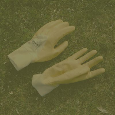 Shop Gloves