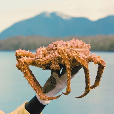 Crab