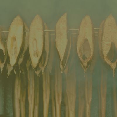 Smoking &amp; Preservation