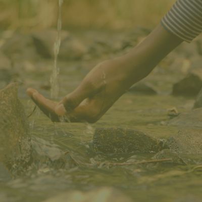 Hygiene &amp; Sanitation