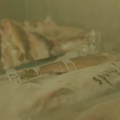 Shop Frozen Baits