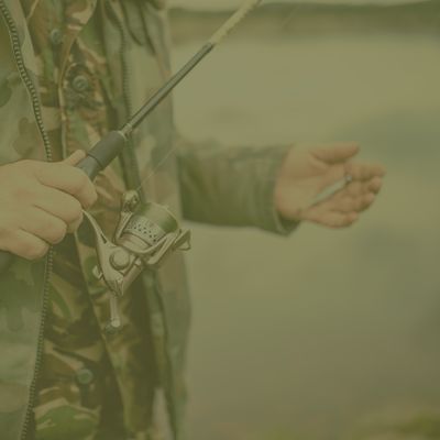 Shop Baits