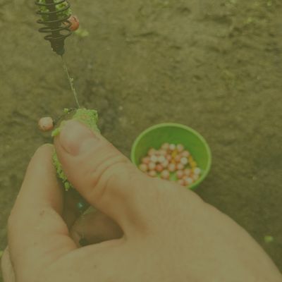 Shop Beads