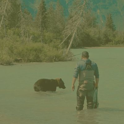 Shop Bear Safety