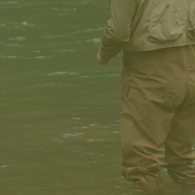 Waders