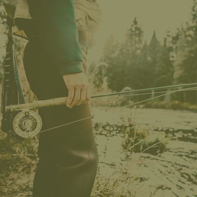 Shop Fishing