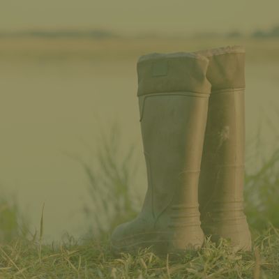 Shop Footwear