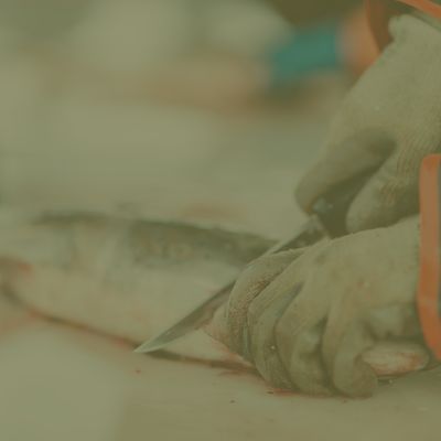 Shop Cutting Tools