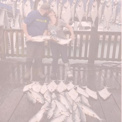 Hook My Valentine Collection