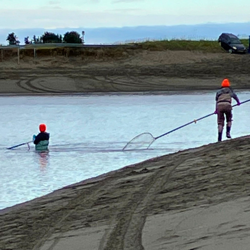 dip net fishing store Fry steel ring at the cod end. Dip Net Bait & Tackle