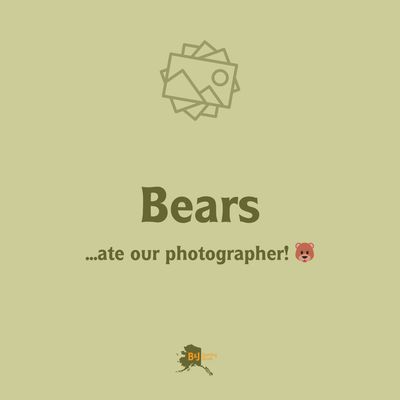 AK Packaging Fish Shipping Box Waxed 50lb (13 1/2"W x 68"L x 20"H)