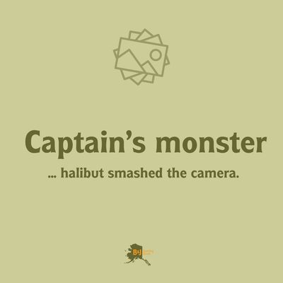 Drift Boat Anchor 40lb