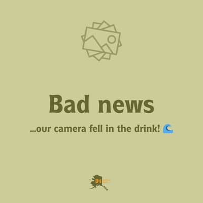 B&amp;J Hooligan Net Head w/ Net