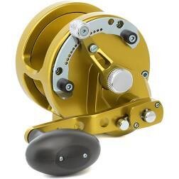 Avet Reel 2-SPD HX 5/2 RH-Gold