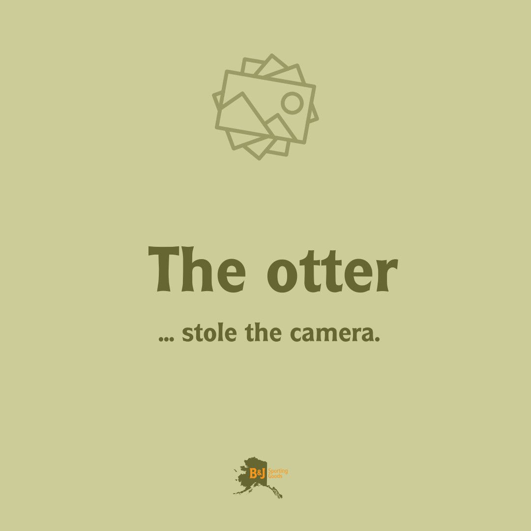 Loki Super Scooper Hooligan Net 6'1/2"-11' 3/4" Telescopic SH-3T 2pc 22"deep x  20"dia Green