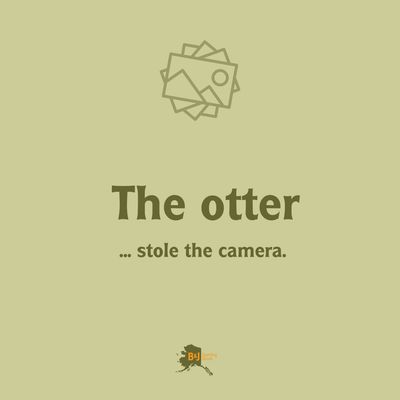 Loki Super Scooper Hooligan Net 6'1/2"-11' 3/4" Telescopic SH-3T 2pc 22"deep x  20"dia Green