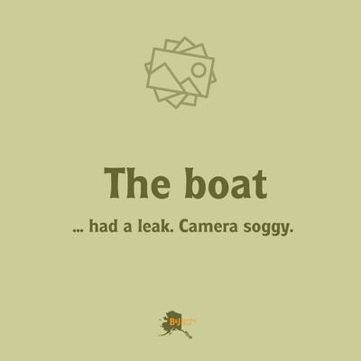 Loki Super Scooper Hooligan Net 6' 1/2"-12'17" Telescopic SH-4T 3pc 22"deep x  20"dia Green