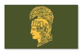 WAC Flag