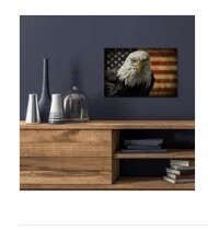 Bald Eagle Wall Art
