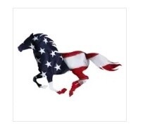 Horse US Wall Art