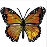 Butterfly 3D Wall Art, Pattern: Monarch, Size: Small