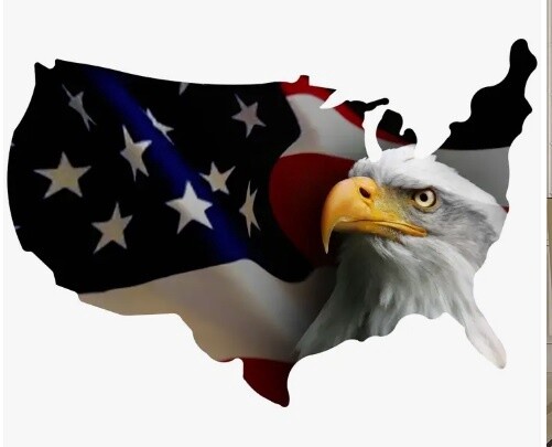 US Shape Wall Art, Pattern: Eagle Flag, Size: Large