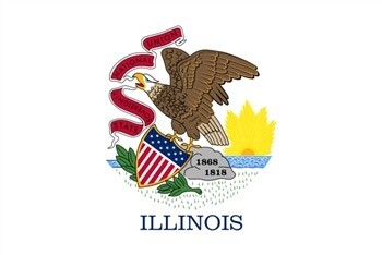 Illinois Flag Nylon, Size: 12"x18"