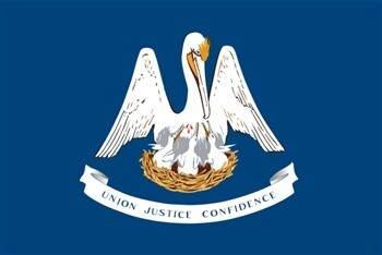 Louisiana Flag Monsoon