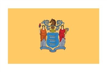 New Jersey Flag Nylon, Size: 12"x18"