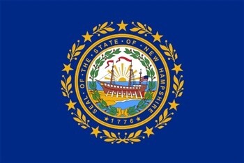 New Hampshire Flag Nylon, Size: 12"x18"