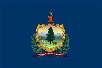 Vermont Flag Nylon, Size: 12"x18"