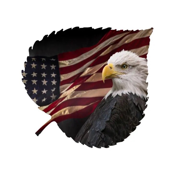 American Eagle Aspen Leaf Wall Art