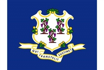 Connecticut Flag Nylon, Size: 12"x18"