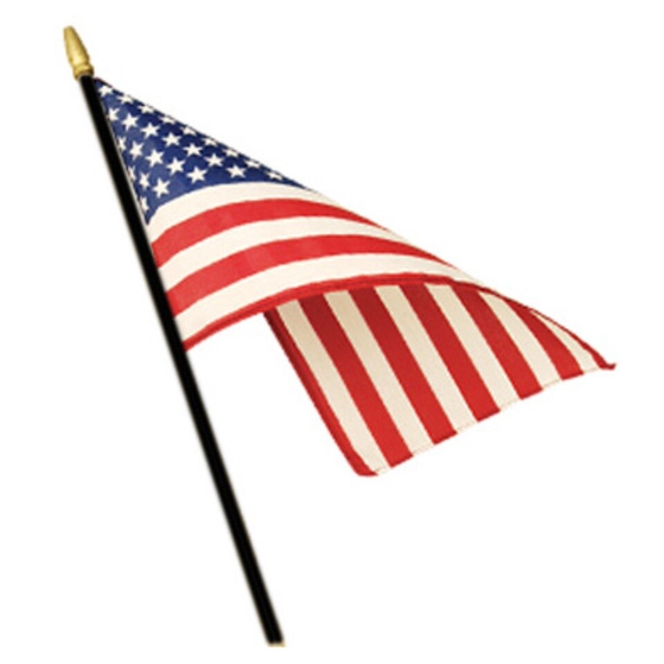 US Mounted Classroom Flag