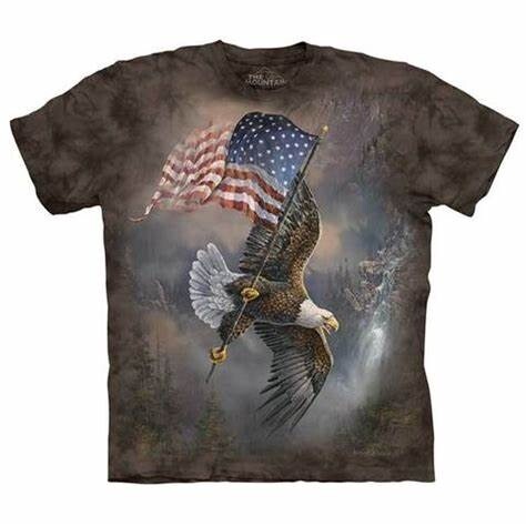 The Mountain T Shirt Flag Bearing Eagle, Size: S