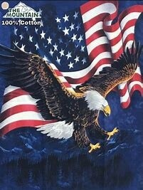 The Mountain T Shirt Eagle Talon