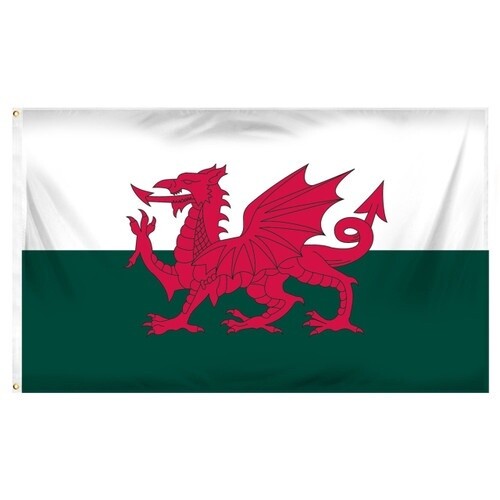 Wales Nylon Flag