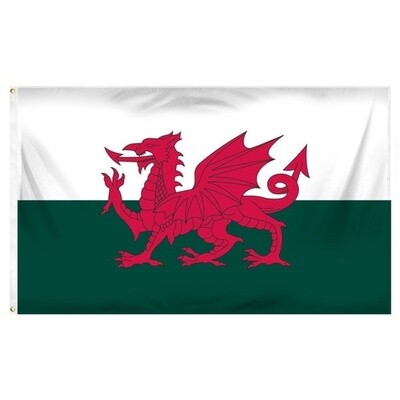 Wales Nylon Flag