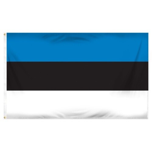 Estonia Nylon Flag