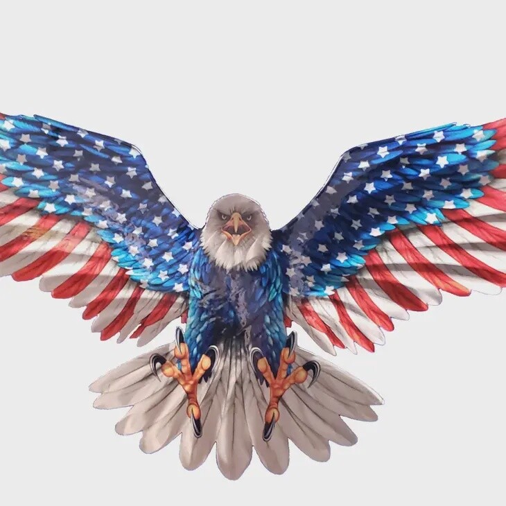 Screaming Eagle Wall Art