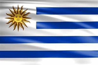 Uruguay Nylon Flag