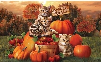 Fall Kittens Garden Flag